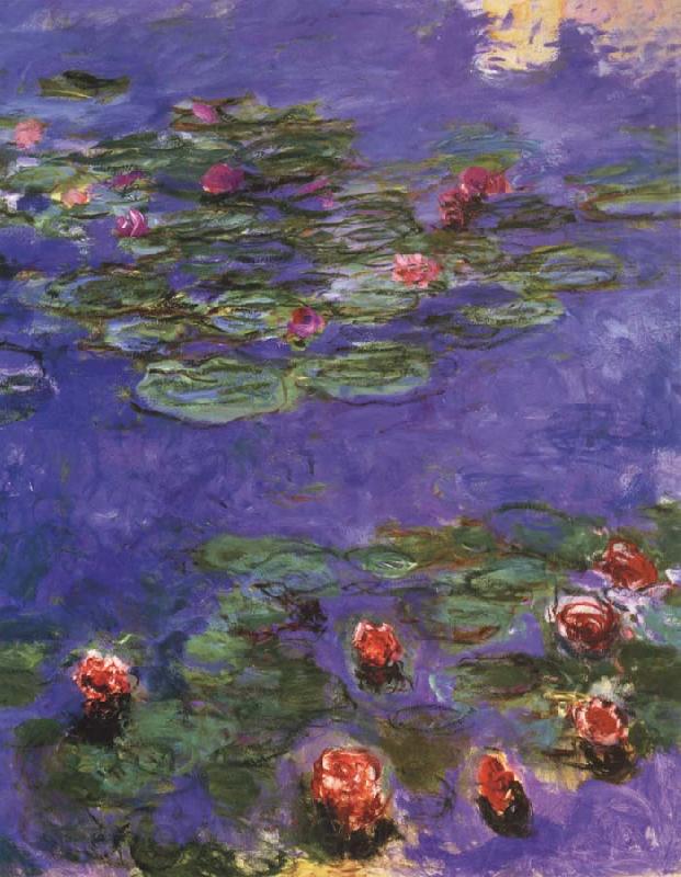 Claude Monet Water Lilies Spain oil painting art